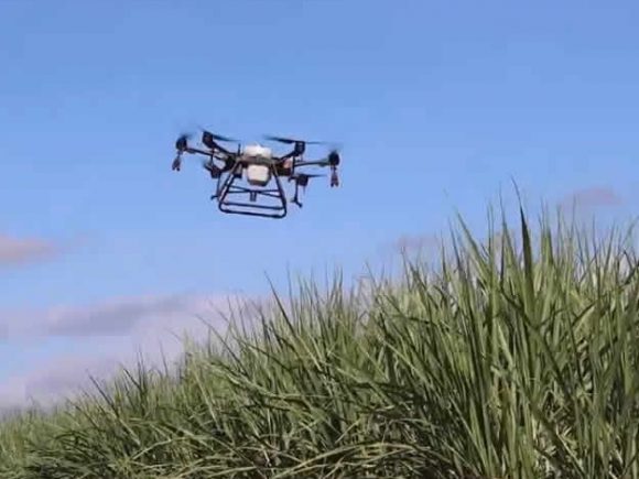 Use of Drones in Sugarcane Production